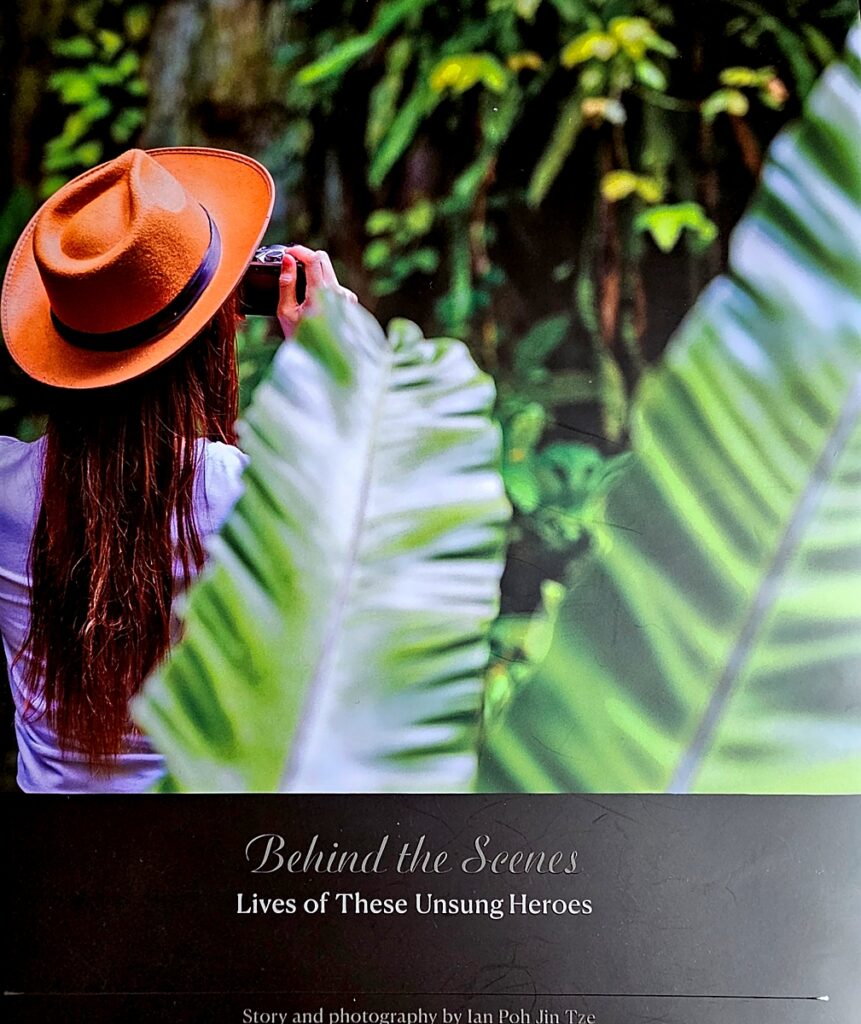 Book cover image for review of 'Behind the Scenes - Lives of these unsung heroes', by author Ian Poh Jin Tze