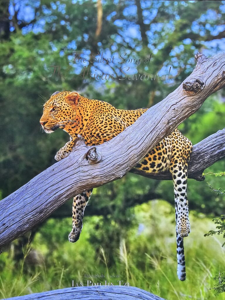 Cover image: The Silent Song of the African Savannah by Ian Poh Jing Tze